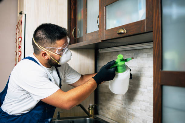 Best Best Pest Control Companies  in Foster Brook, PA