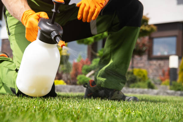 Best Affordable Pest Control Services  in Foster Brook, PA