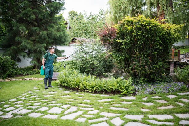 Best Pest Prevention Services  in Foster Brook, PA