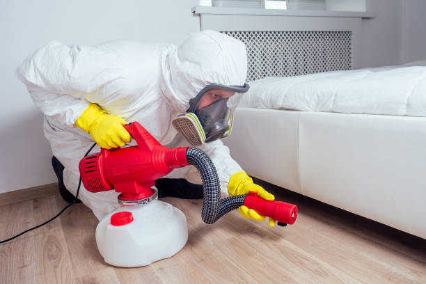 Best Termite Control Services  in Foster Brook, PA