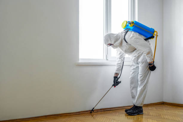 Best Affordable Pest Control Services  in Foster Brook, PA