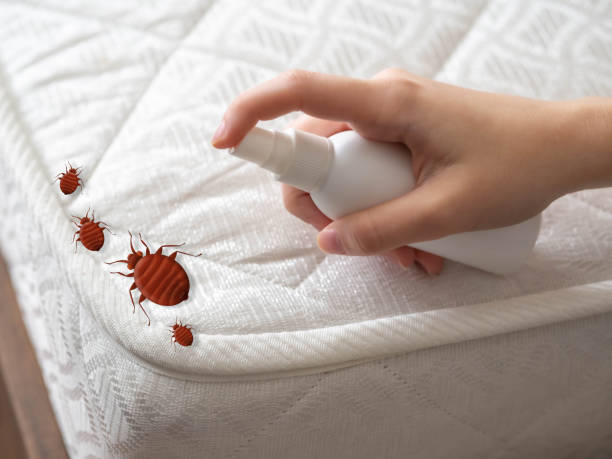Pest Control for Restaurants in Foster Brook, PA