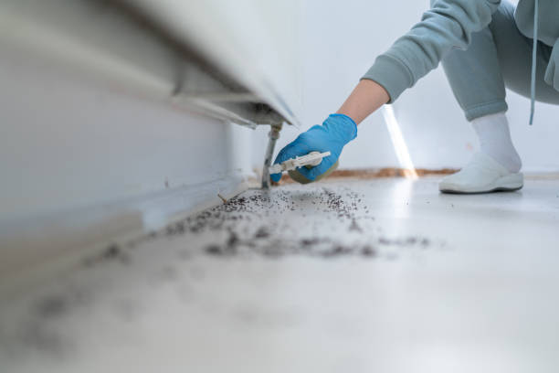 Pest Prevention Services in Foster Brook, PA